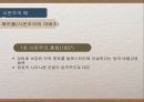 시온주의와이스라엘건국,시온주의배경,시온주의와1차세계대전,서구열강과의관계 9페이지