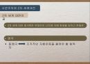 시온주의와이스라엘건국,시온주의배경,시온주의와1차세계대전,서구열강과의관계 53페이지