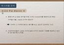 시온주의와이스라엘건국,시온주의배경,시온주의와1차세계대전,서구열강과의관계 56페이지