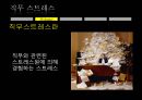 직무스트레스,직무스트레스란,우리나라직무스트레스현황,직무스트레스반응,직무스트레스사례 3페이지