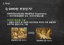 GMO식품이란무엇인가,GMO식품이생산되는이유,GMO식품의문제점,GMO식품과관련된법적제재 4페이지