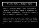 기적 신비과학에 대한정의,정신걱기적,종교적기적,의학적기적,신비현상 7페이지