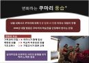 종교라는이름으로행해지는인권탄압,문화상대주의VS보편주의,인권탄압의사례,이슬람의샤리아,종교의자유,이슬람교타종교개정불가 11페이지