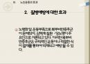노인 운동 프로그램 7페이지