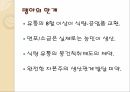 명-청시대 자본주의맹아론,자본주의맹아론,맹아론의타당성,맹아론의실존적한계,맹아론의역사적의의 19페이지
