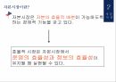 자금시장,자본시장,외환시장,파생금융상품시장 13페이지