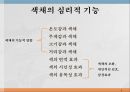색채 심리,색채 심리의 개요,온도감과 색채,거리감과 색채,색의 감성 효과,색채의 조화 3페이지