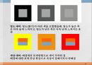 색채 심리,색채 심리의 개요,온도감과 색채,거리감과 색채,색의 감성 효과,색채의 조화 12페이지