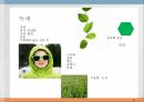 색채 심리,색채 심리의 개요,온도감과 색채,거리감과 색채,색의 감성 효과,색채의 조화 41페이지