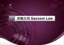5.18 민주화 항쟁의 민주적 정당성,5.18 항쟁의 발단배경 및 전개과정,민주적정당성의검토,프랑스의Gayssot Law,국가폭력과연관성 35페이지