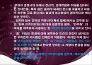 5.18 민주화 항쟁의 민주적 정당성,5.18 항쟁의 발단배경 및 전개과정,민주적정당성의검토,프랑스의Gayssot Law,국가폭력과연관성 47페이지