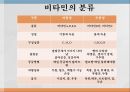 수용성비타민,비타민의정의,티아민,리보플라빈,니아신,판토텐산,비오틴,엽산,비타민C 5페이지