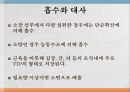 수용성비타민,비타민의정의,티아민,리보플라빈,니아신,판토텐산,비오틴,엽산,비타민C 13페이지