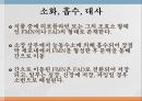 수용성비타민,비타민의정의,티아민,리보플라빈,니아신,판토텐산,비오틴,엽산,비타민C 22페이지