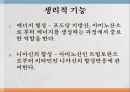 수용성비타민,비타민의정의,티아민,리보플라빈,니아신,판토텐산,비오틴,엽산,비타민C 23페이지
