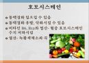 수용성비타민,비타민의정의,티아민,리보플라빈,니아신,판토텐산,비오틴,엽산,비타민C 35페이지
