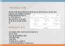 수용성비타민,비타민의정의,티아민,리보플라빈,니아신,판토텐산,비오틴,엽산,비타민C 50페이지