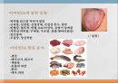 수용성비타민,비타민의정의,티아민,리보플라빈,니아신,판토텐산,비오틴,엽산,비타민C 51페이지