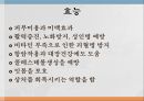 수용성비타민,비타민의정의,티아민,리보플라빈,니아신,판토텐산,비오틴,엽산,비타민C 69페이지