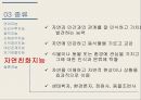 다중지능 이론과 음악교육,가드너 소개,다중지능 이론,다중지능 이론의 종류,교육심리학자 18페이지