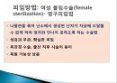 사랑의 의미,성의 의미,사랑과 성행동,피임방법,에로스,아가페,스토르게,루두스 45페이지