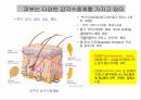 감각계통,연관통,후각,미각,평형과머리움직임,청각 2페이지