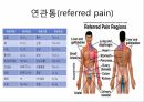감각계통,연관통,후각,미각,평형과머리움직임,청각 3페이지