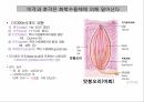 감각계통,연관통,후각,미각,평형과머리움직임,청각 6페이지