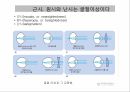 감각계통,연관통,후각,미각,평형과머리움직임,청각 12페이지