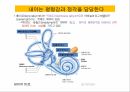 감각계통,연관통,후각,미각,평형과머리움직임,청각 16페이지