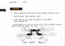 감정노동의개념과의식실태,감정노동의문제,다산콜센터,해결방안 22페이지