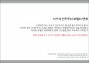 개발이론,저개발국가,성장방안정책,근대화이론,종속이론 36페이지