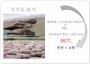 광고천재이제석,Creative공익광고,공익광고,그의 Creative 사고방식 20페이지
