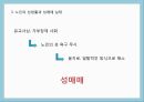 노인의성이란,노인의성에대한사회적인식,노인의성생활,노인의성매매실태,노인의사회복지문제,황혼재혼 12페이지