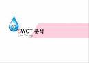 에비앙,About Evian,3C분석,SWOT분석,STP전략,촉진전략,브랜드확장 10페이지