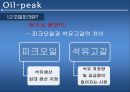 오일피크,석유종말론,오일피크에관한진실들,비일반석유,오일피크에대한의심,석유음모론 5페이지