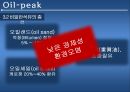 오일피크,석유종말론,오일피크에관한진실들,비일반석유,오일피크에대한의심,석유음모론 12페이지