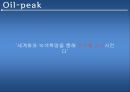 오일피크,석유종말론,오일피크에관한진실들,비일반석유,오일피크에대한의심,석유음모론 21페이지