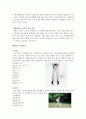 [기타] 태권도  3페이지