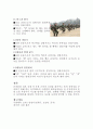 특수 군대체육 분야 중 유격체조(공수체조)에 관하여 조사하시오. 5페이지