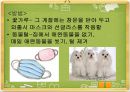 알레르기 보건교육 17페이지
