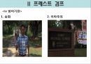 정신간호학-영화 프레스트 검프 11페이지