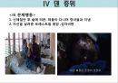 정신간호학-영화 프레스트 검프 27페이지