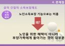 노인소득보장,현황및실태,노인소득보장종류,노인소득보장문제점,노인소득보장개선방안,사적소득보장제도 16페이지
