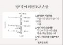 방사능,방사선의 정의,방사능영향,DNA 손상,세포조직손상,일본 원전 사고,해양 생태계,해양 수산물,방사선 이용 7페이지