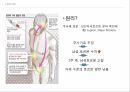 아동성폭행법에대한화학적거세,아동성폭행범죄,공리주의,공리주의적논리와피해자인권,성폭행이란,인권의침해 7페이지
