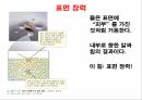 액체와 분자,물질의 상태,물질 상태의 차이,분자간 힘,분산력,쌍극자 힘,수소 결합,이온 쌍극자 힘 20페이지