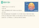 대전지역축제의 문제점과 해결방안 13페이지