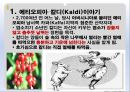커피의유래,커피의전파,커피의음용방법,커피의수난,오스만제국의커피하우스,커피칸타타 3페이지