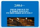 커피의유래,커피의전파,커피의음용방법,커피의수난,오스만제국의커피하우스,커피칸타타 16페이지